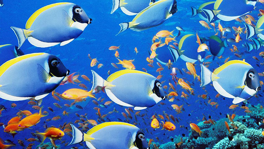 Еще больше статей