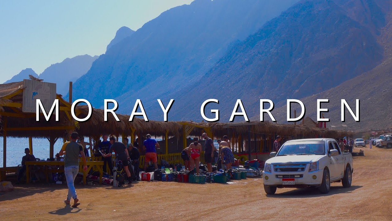 Дайвинг в Дахабе.