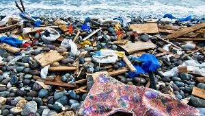 День Очистки Водоёмов