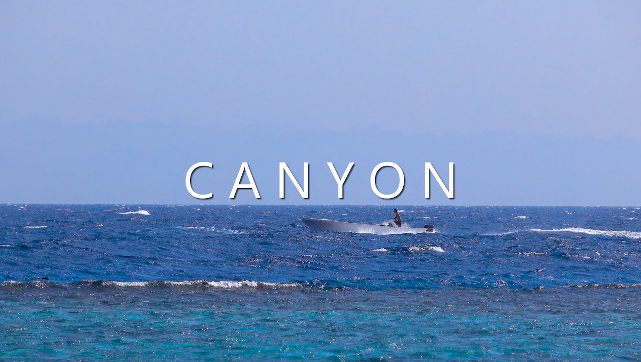 Дайвинг в Египте, Дахаб